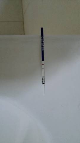 journal_insert_pic_751610346
