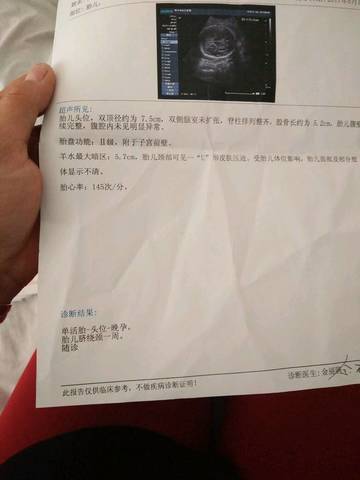 journal_insert_pic_751543817