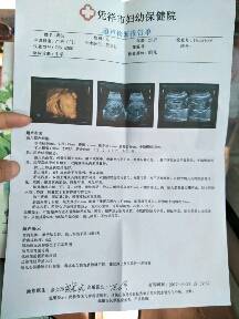 journal_insert_pic_752327082
