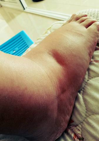 journal_insert_pic_752147379