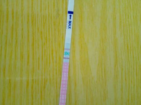 journal_insert_pic_752179866