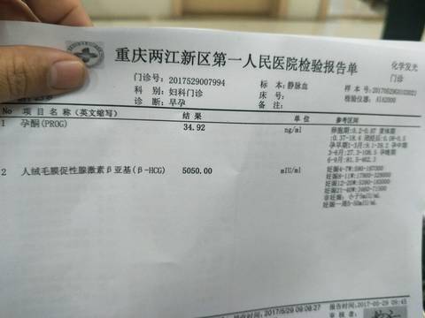 journal_insert_pic_753834644