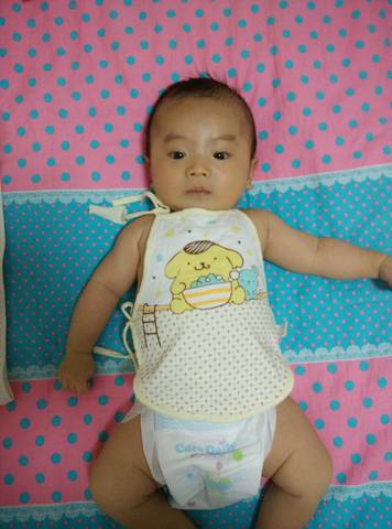 journal_insert_pic_755177040