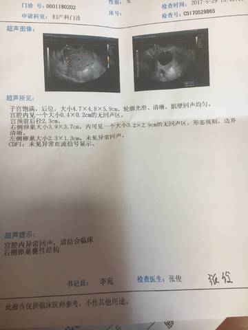 journal_insert_pic_754880471