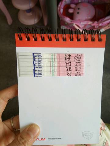 journal_insert_pic_756713882