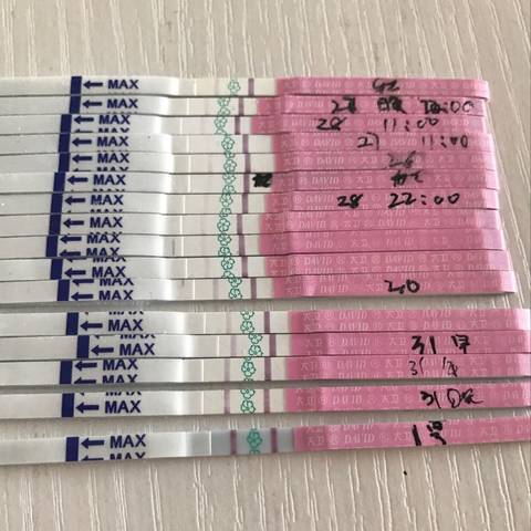 journal_insert_pic_756394799