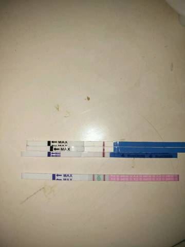 journal_insert_pic_756386434