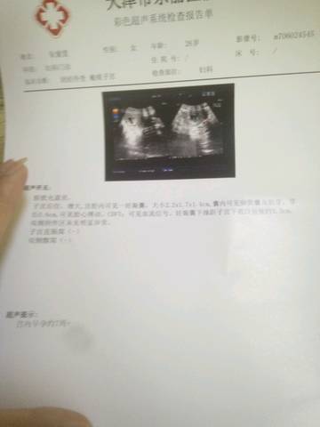 journal_insert_pic_757512775