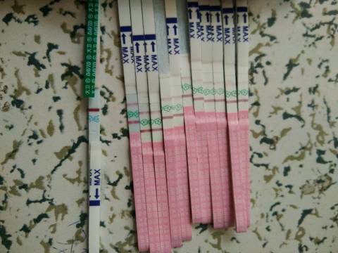 journal_insert_pic_758817109