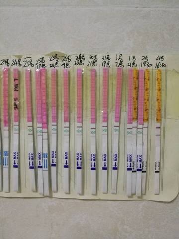 journal_insert_pic_759839127