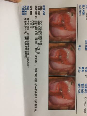 journal_insert_pic_760696230