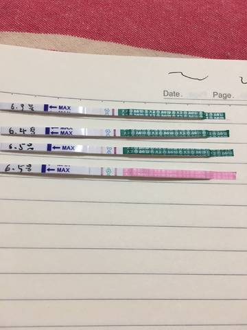 journal_insert_pic_760350842