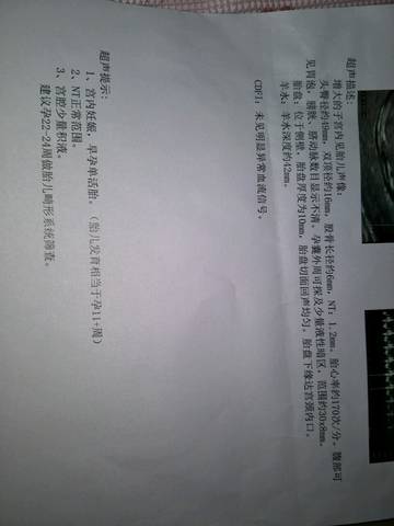 journal_insert_pic_763895151