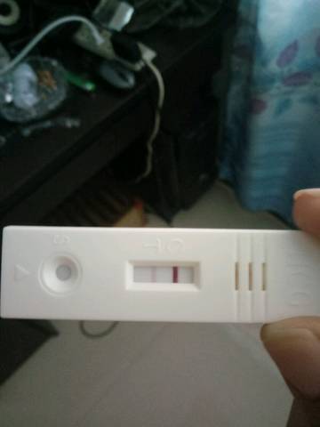 journal_insert_pic_764614854