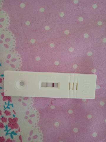 journal_insert_pic_764614885