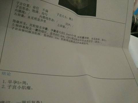 journal_insert_pic_764684322