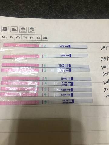 journal_insert_pic_765982935