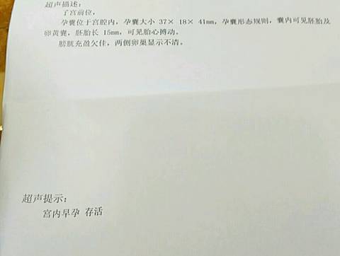 journal_insert_pic_767236888