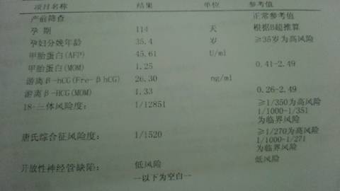 journal_insert_pic_767353209