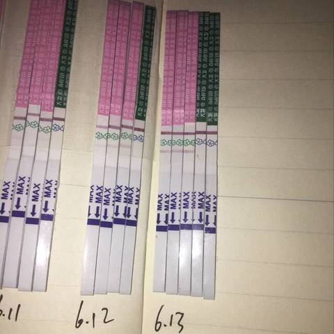 journal_insert_pic_767306823