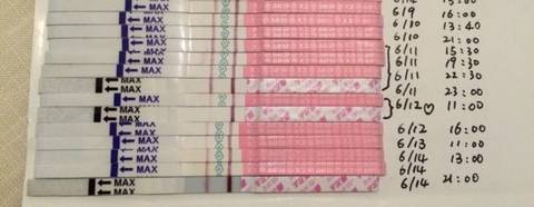 journal_insert_pic_768531043