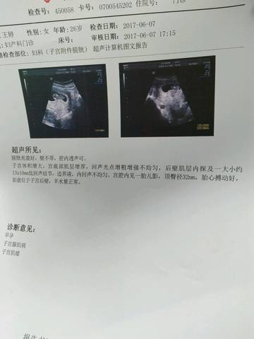 journal_insert_pic_768841179