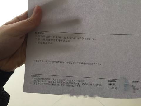 journal_insert_pic_768842276