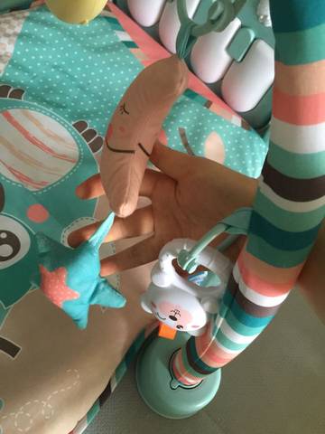 journal_insert_pic_769972107
