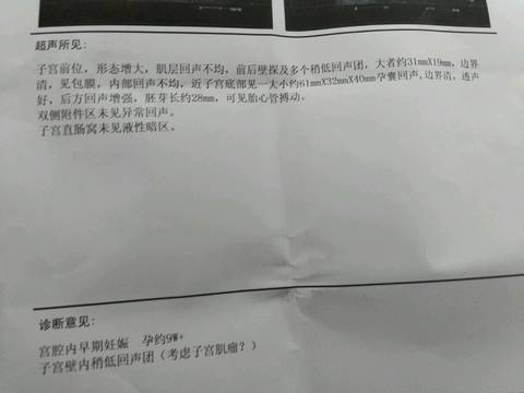 journal_insert_pic_769774456
