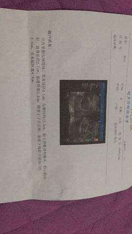 journal_insert_pic_769608975
