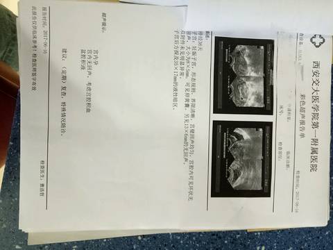 journal_insert_pic_770324022
