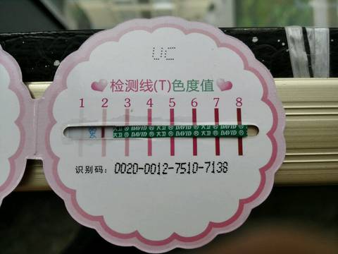 journal_insert_pic_771133593