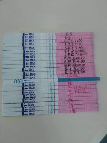 journal_insert_pic_770954871