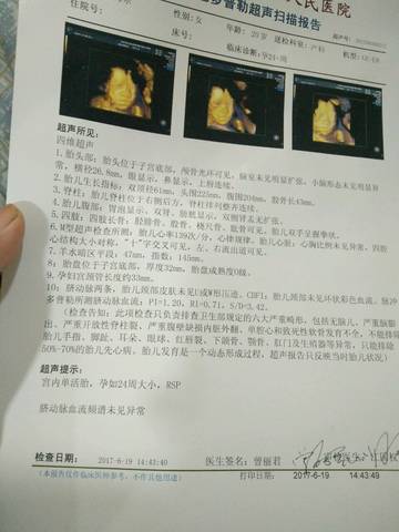 journal_insert_pic_772370725