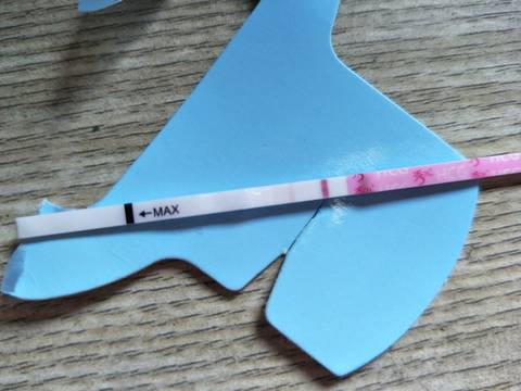 journal_insert_pic_772105794