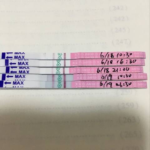 journal_insert_pic_772315838