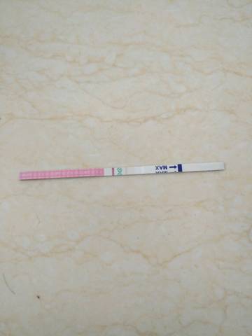 journal_insert_pic_772935315