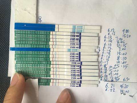 journal_insert_pic_774471266
