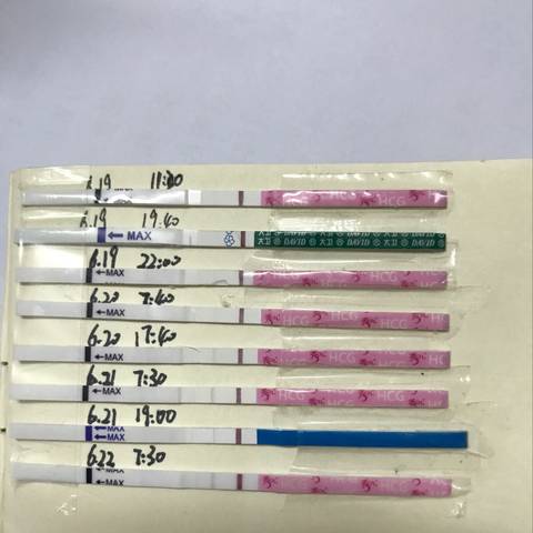 journal_insert_pic_774093170