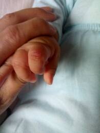 journal_insert_pic_775292503