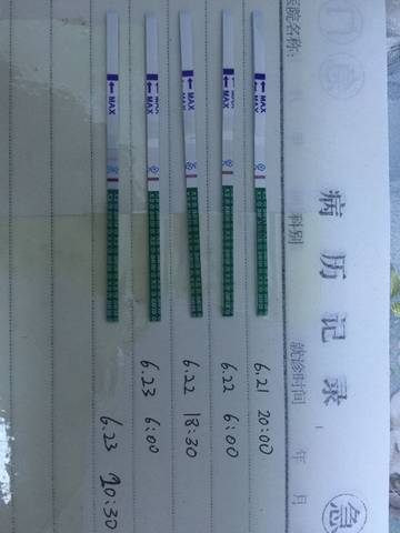 journal_insert_pic_775450158