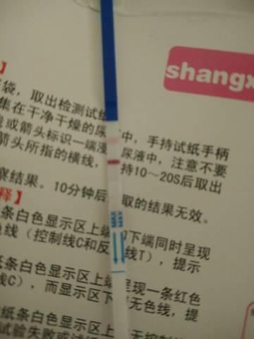journal_insert_pic_775858968