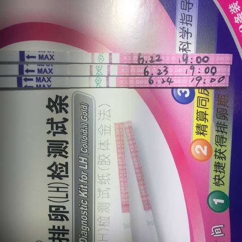 journal_insert_pic_776963245