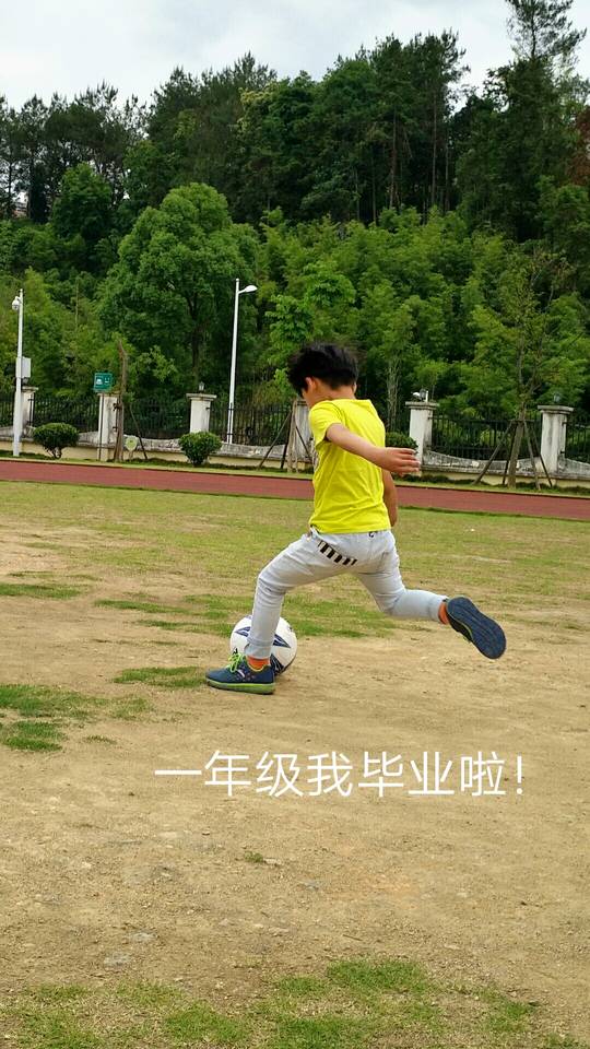 journal_insert_pic_777454447