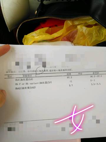 journal_insert_pic_778164029
