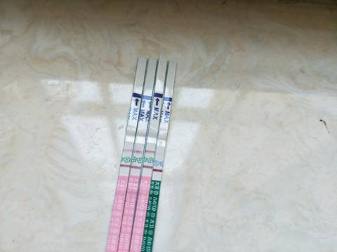journal_insert_pic_777547819