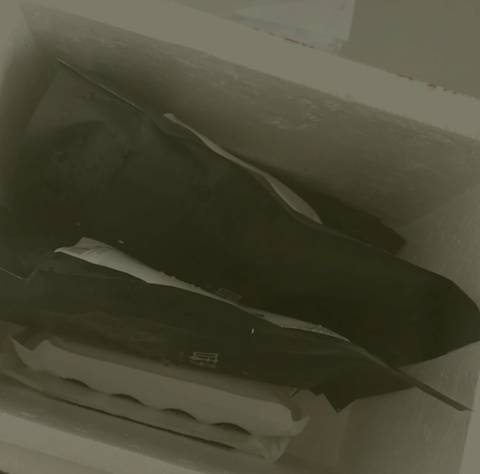 journal_insert_pic_779018515