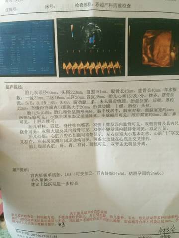 journal_insert_pic_778763907