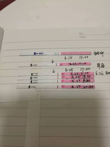 journal_insert_pic_778815601