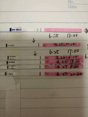journal_insert_pic_778815583
